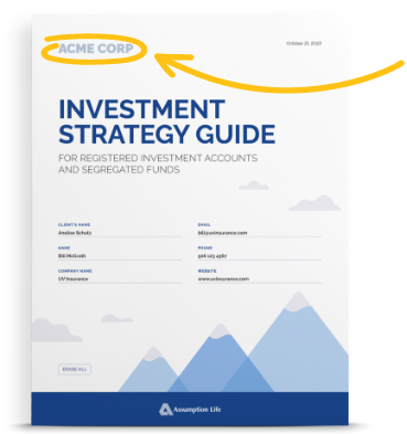 Investment Strategy Guide thumbnail